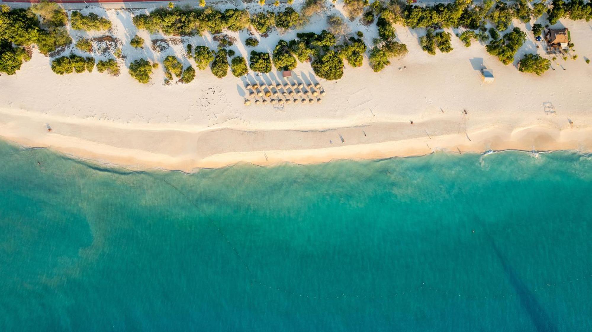 O Condominium Beachfront Residences, By Bocobay Aruba Palm Beach Dış mekan fotoğraf